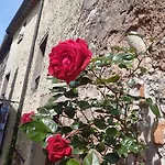 Casa Il Girasole Holiday home Boccheggiano