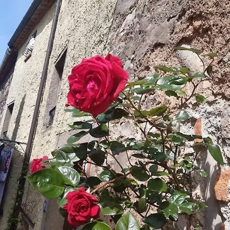 Casa Il Girasole Prázdninový dům Boccheggiano